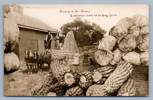 IOWA FARM EXAGGERATED ANTIQUE REAL PHOTO POSTCARD RPPC