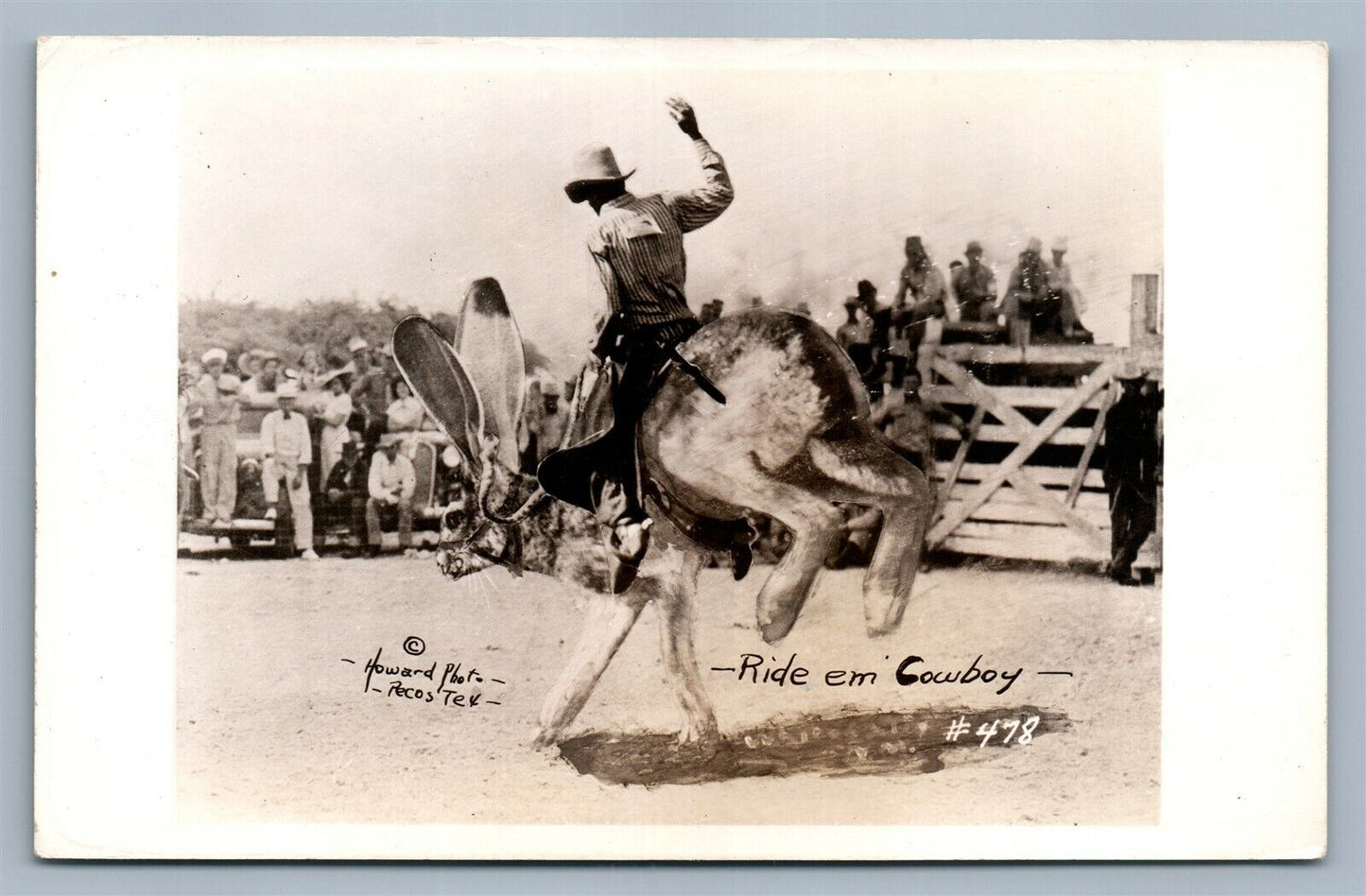 COWBOY RIDING EXAGGERATED JACKRABBIT ANTIQUE REAL PHOTO POSTCARD RPPC