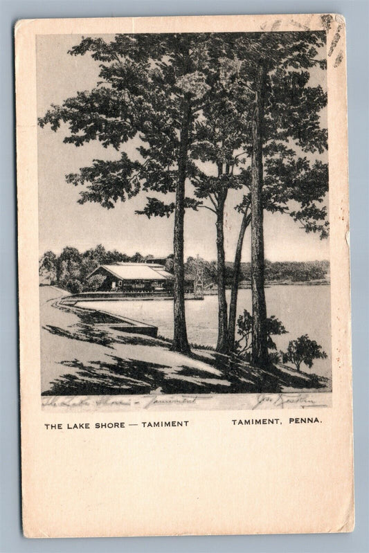 TAMIMENT PA LAKE SHORE VINTAGE POSTCARD