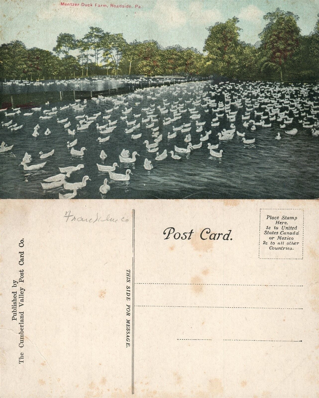 ROADSIDE PA MENTZER DUCK FARM ANTIQUE POSTCARD