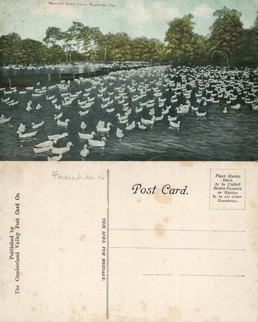 ROADSIDE PA MENTZER DUCK FARM ANTIQUE POSTCARD