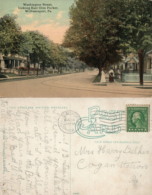 WILLIAMSPORT PA WASHINGTON STREET 1916 ANTIQUE POSTCARD