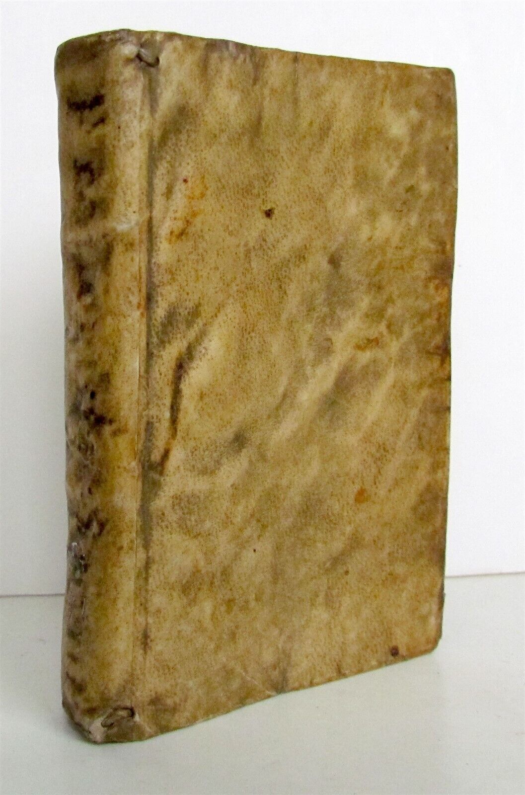 1562 BIBLE Proverbia Salomonis antique in LATIN 16th CENTURY