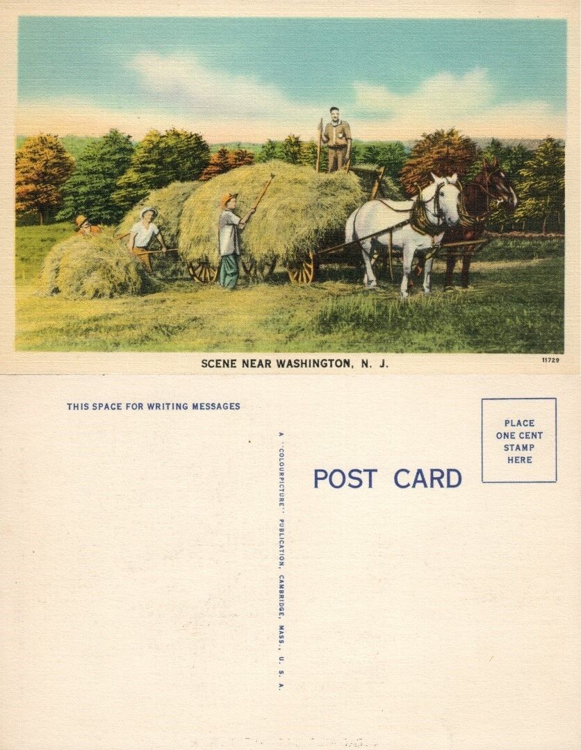 WASHINGTON N.J. FARM SCENE VINTAGE POSTCARD