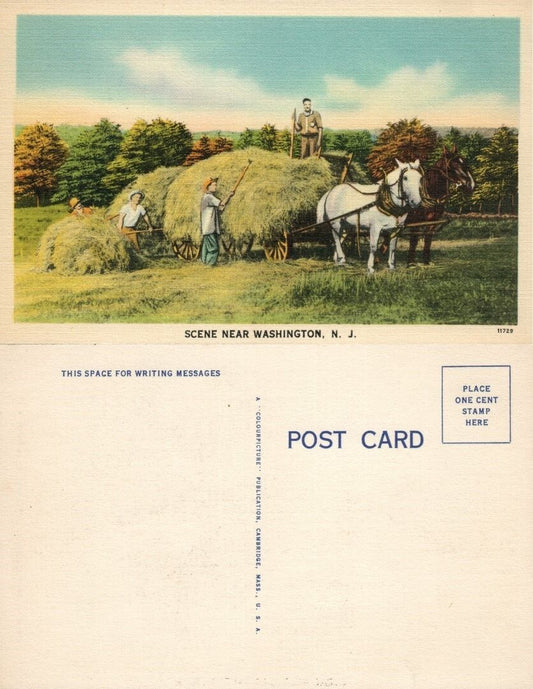 WASHINGTON N.J. FARM SCENE VINTAGE POSTCARD