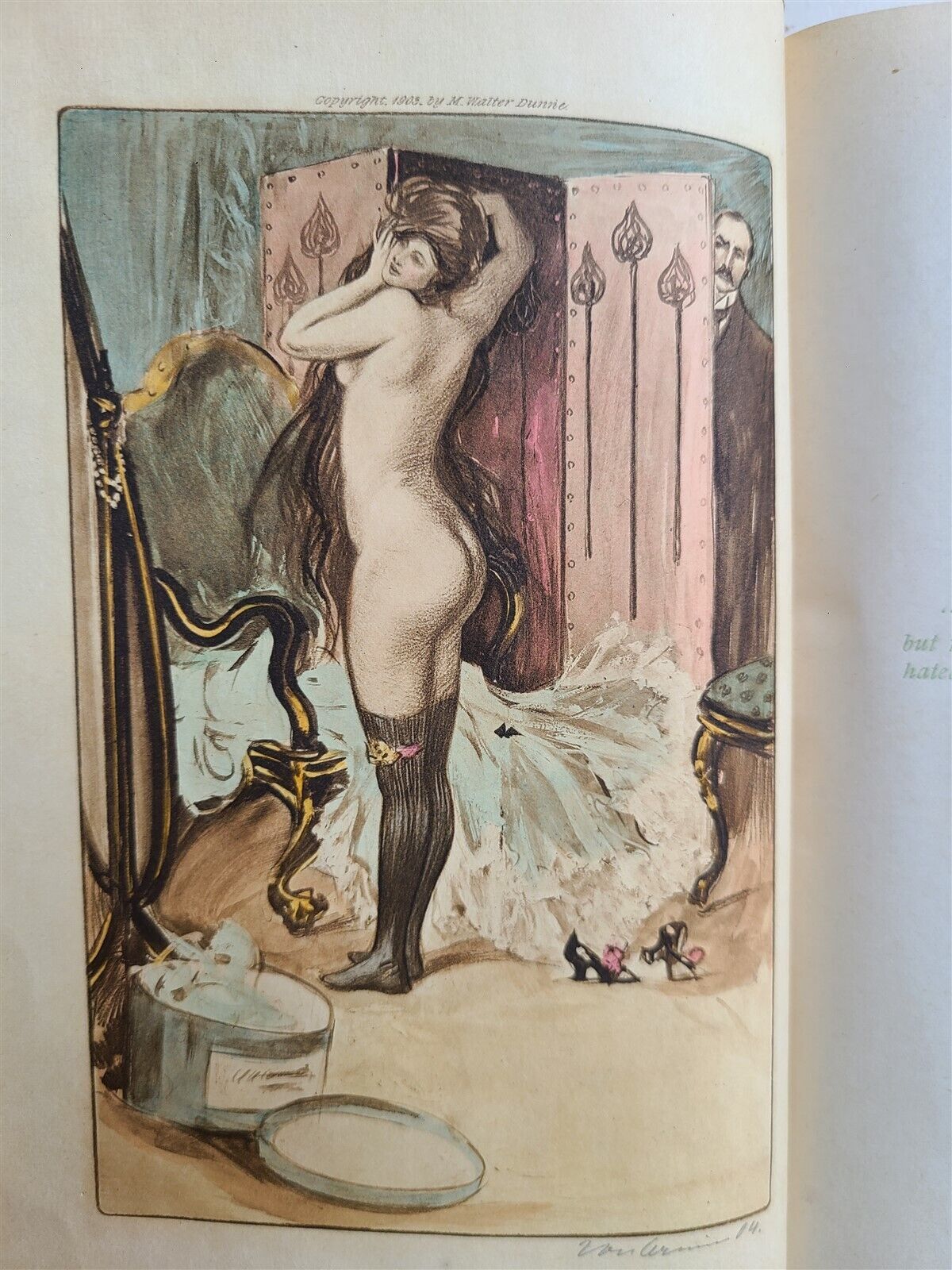 1903 WORKS of GUY De MAUPASSANT 17 VOLUMES antique ILLUSTRATED LTD ED in ENGLISH