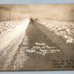 NORTH DAKOTA SNOWY PRAIRIE ANTIQUE REAL PHOTO POSTCARD RPPC