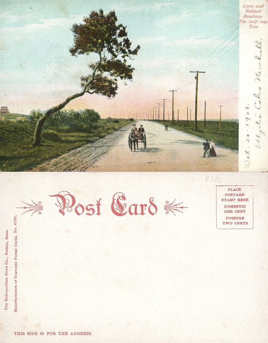 LYNN & NAHANT ROADWAY MA UNDIVIDED ANTIQUE POSTCARD