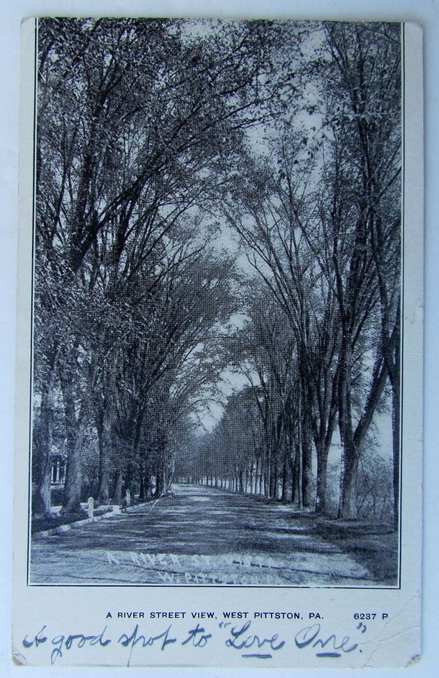 VINTAGE 1906 UNDIVIDED POSTCARD RIVER STREET VIEW WEST PITTSTON NY NEW YORK