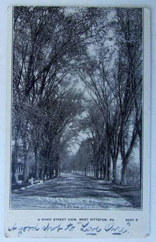 VINTAGE 1906 UNDIVIDED POSTCARD RIVER STREET VIEW WEST PITTSTON NY NEW YORK