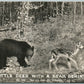 LITTLE DEER w/ BEAR BEHIND 1938 VINTAGE RPPC REAL PHOTO POSTCARD