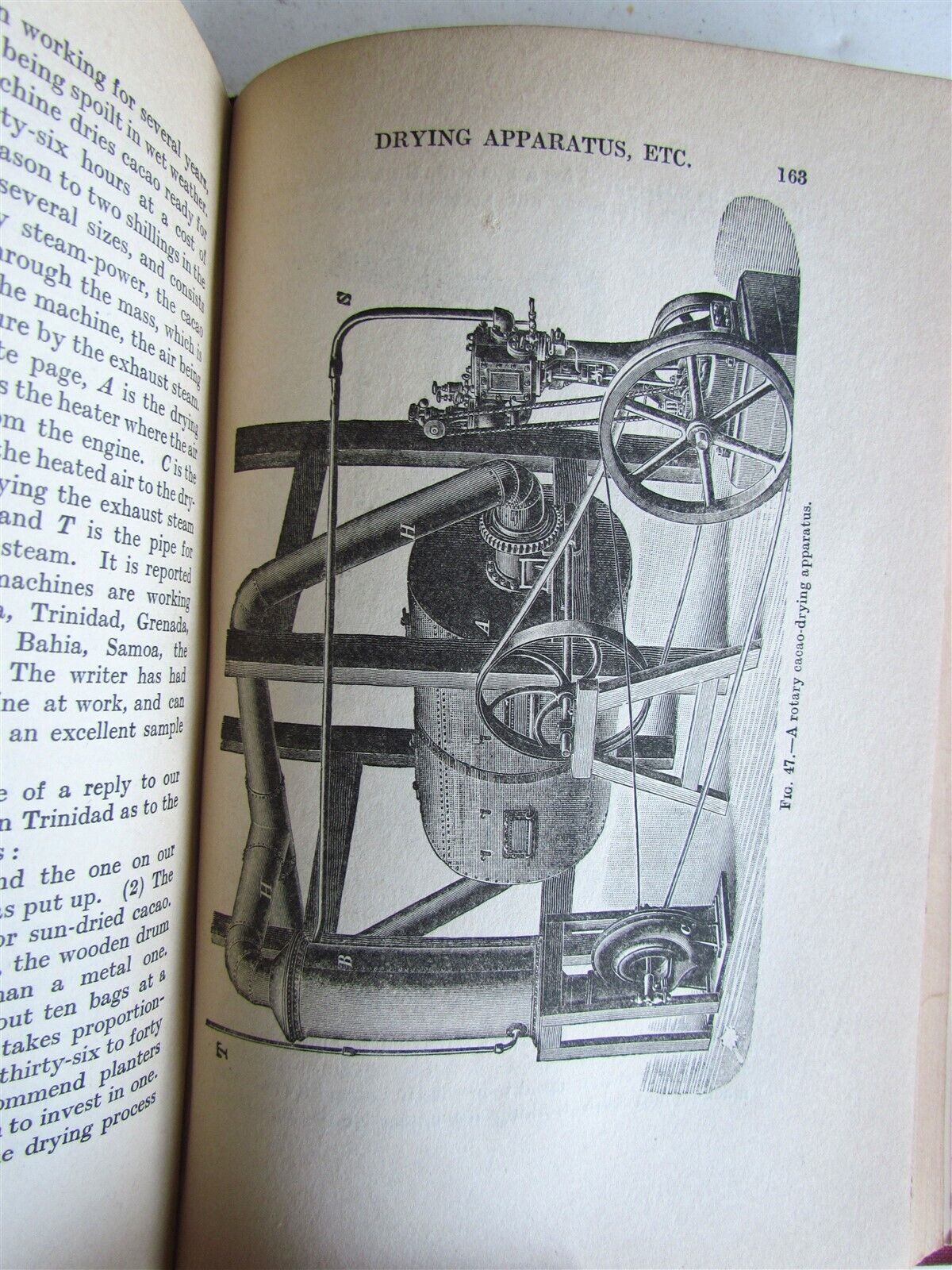 1911 CACAO Manual on the Cultivation and Curing ILLUSTRATED antique