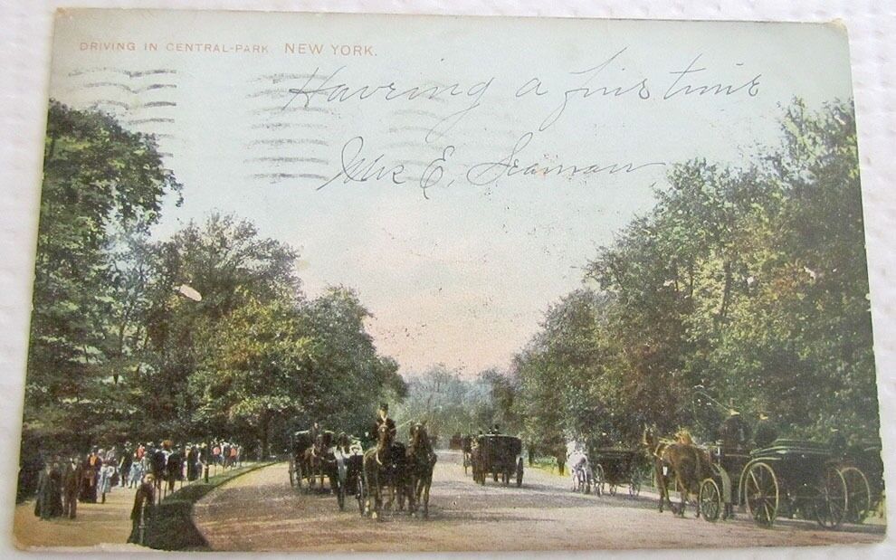 DRIVING IN CENTRAL PARK NEW YORK UNDIVIDED 1908 ANTIQUE POSTCARD HORSE CARRIAGES