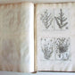 1714 ICONES PLANTARUM per GALLIAM HISPANIAM et ITALIAM Jacques BARRELIER antique