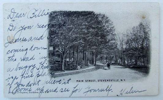 VINTAGE 1905 UNDIVIDED POSTCARD MAIN STREET STEVENSVILLE NY NEW YORK