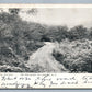 COOLEY NY ANTIQUE POSTCARD