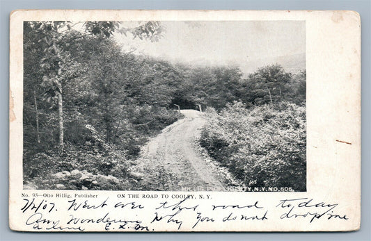 COOLEY NY ANTIQUE POSTCARD
