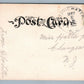 PATTENBURG NJ BELLEWOOD PARK ANTIQUE POSTCARD