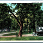 CEDAR FALLS IA TOURIST PARK ANTIQUE POSTCARD