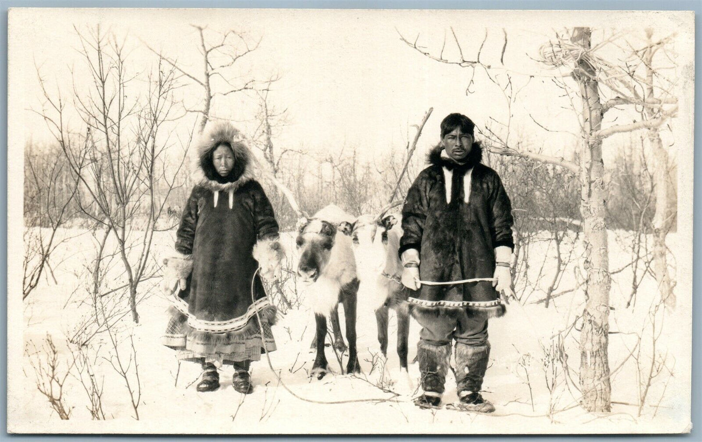 ESKIMOS w/ REINDEER ANTIQUE REAL PHOTO POSTCARD RPPC NOME AK