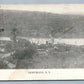 HOFFMANS NY ANTIQUE POSTCARD