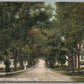 HARRISON ME LOOKING UP AVENUE ANTIQUE POSTCARD