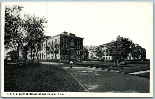 CEDAR FALLS IA IOWA STATE TEACHERS COLLEGE CAMPUS DRIVE ANTIQUE POSTCARD