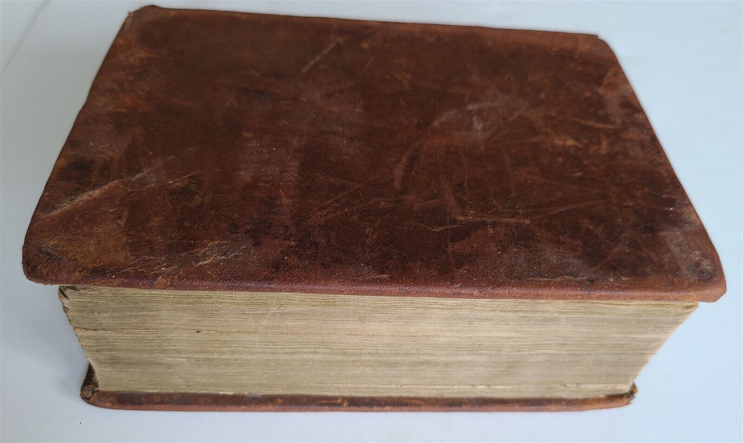 1631 BIBLE in ENGLISH ANTIQUE ILLUSTRATED Robert Barker OLD & NEW TESTAMENT 17c