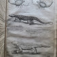 1673 HOLY LAND VOYAGE by Anthonius Gonsales ANTIQUE in Dutch ILLUSTRATED rare