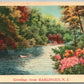 HARLINGEN NJ GREETINGS VINTAGE POSTCARD