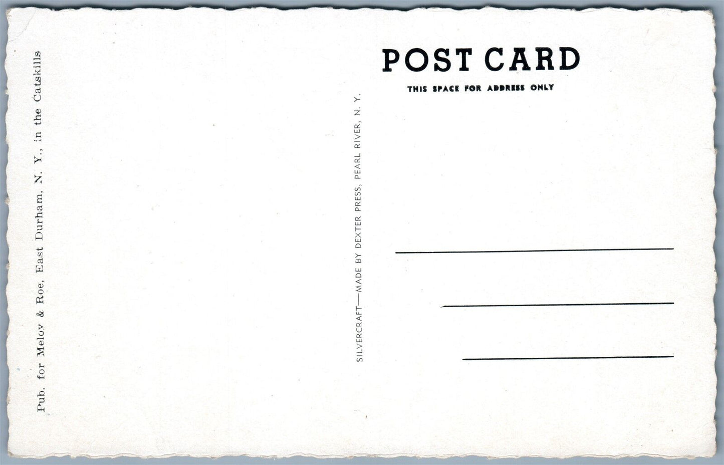 ADIRONDACK MTS NY SARANAC LAKE VILLAGE 1911 ANTIQUE POSTCARD