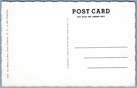 ADIRONDACK MTS NY SARANAC LAKE VILLAGE 1911 ANTIQUE POSTCARD