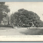SELLERSVILLE PA FIRE COMPANY PARADE DOUBLE SIDED ANTIQUE POSTCARD