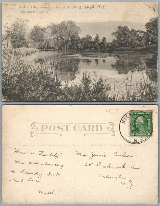 LOYD N.Y. WATER LILLY CORE IN THE MILL POND ANTIQUE POSTCARD