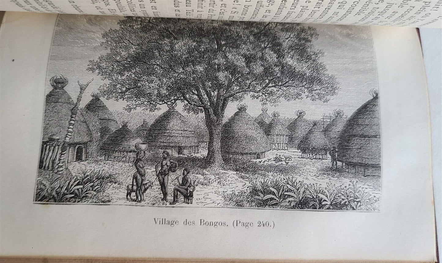 1877 AFRICAN VOYAGE by George SCHWEINFURTH antique ILLUSTRATED w/ PLATES & MAP