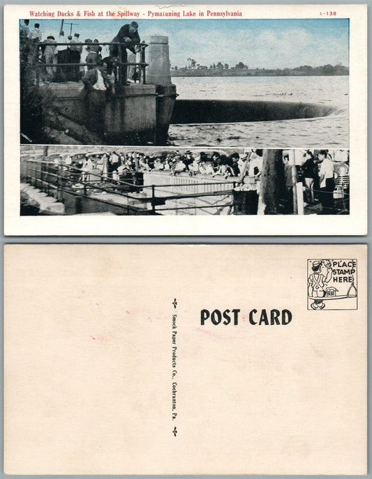 PYMATUNING LAKE PENNSYLVANIA WATCHING DUCKS & FISH AT SPILLWAY ANTIQUE POSTCARD