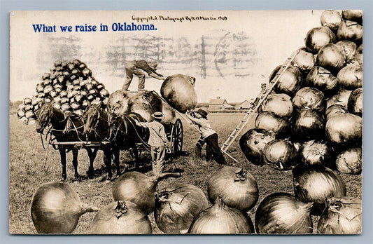 EXAGGERATED ONIONS OKLAHOMA ANTIQUE REAL PHOTO POSTCARD RPPC collage MONTAGE