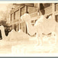 SNOW CAMELS ANTIQUE REAL PHOTO POSTCARD RPPC BANGOR MAINE