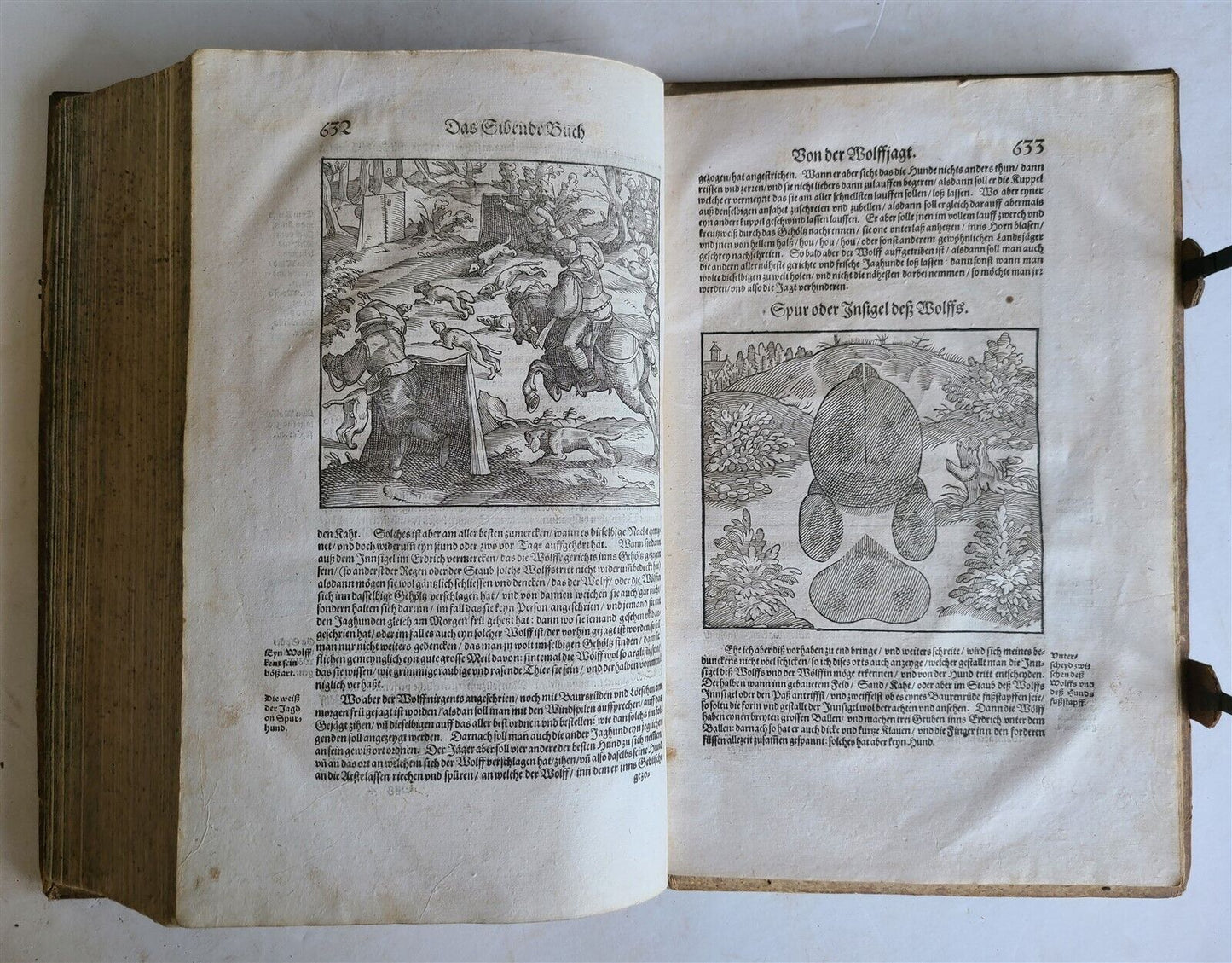 1580 ILLUSTRATED by Tobias Stimmer & J. Amman FOLIO antique HUNTING FALCONRY