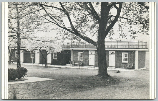 HERSHEY PA MORRISON'S HOTEL ANTIQUE POSTCARD