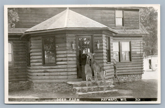 HAYWARD WI DEER FARM 1954 VINTAGE REAL PHOTO POSTCARD RPPC