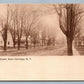 CARTHAGE NY MAIN STREET ANTIQUE POSTCARD
