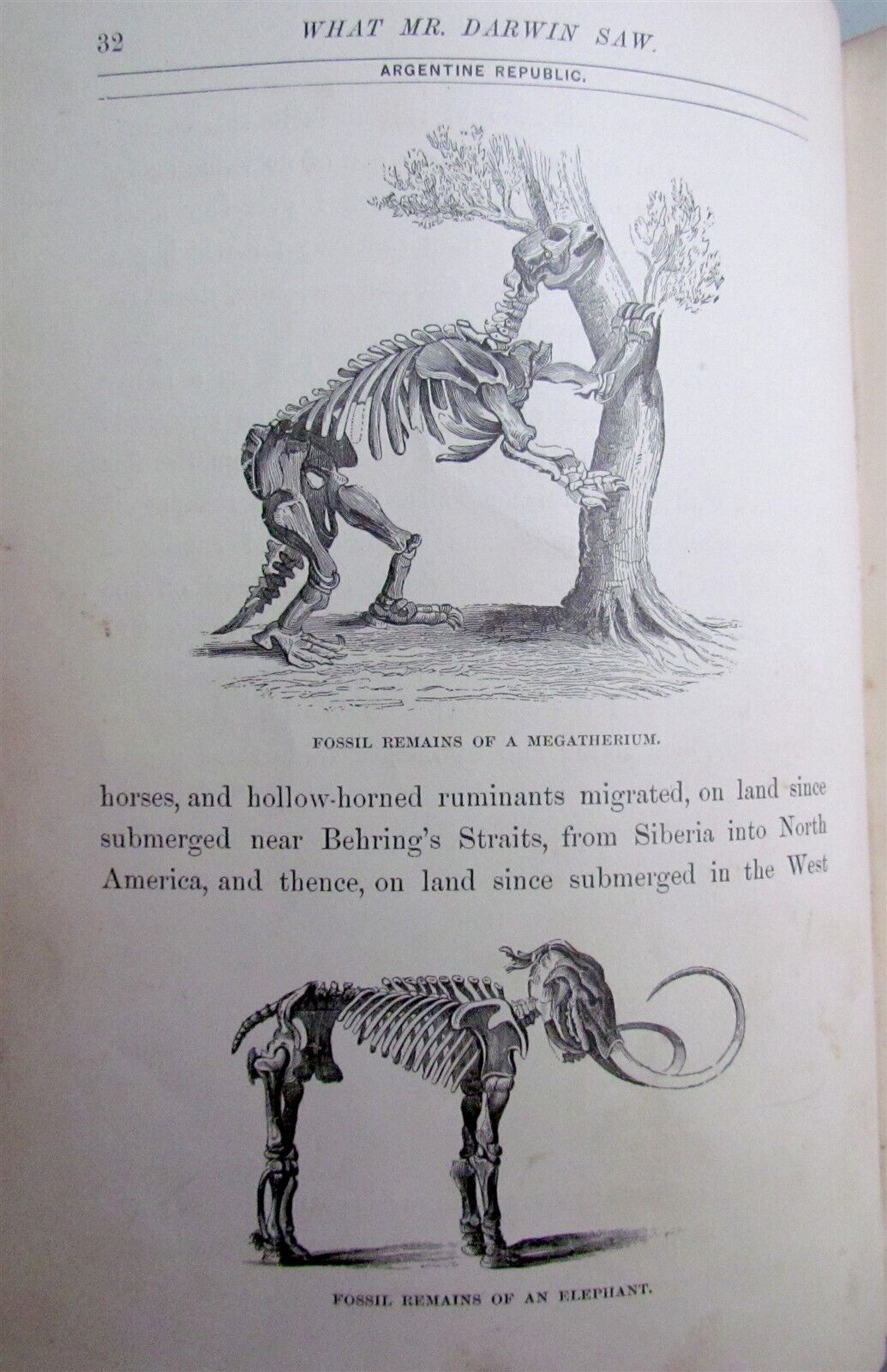 1880 WHAT MR. DARWIN SAW IN HIS VOYAGE ROUND THE WORLD IN SHIP BEAGLE ANTIQUE