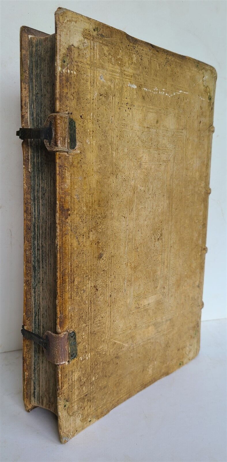 1580 ILLUSTRATED by Tobias Stimmer & J. Amman FOLIO antique HUNTING FALCONRY