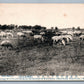 CHINA MANCHURIA KONCHURIN COWS & SHEEPS ANTIQUE JAPANESE POSTCARD