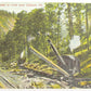 ANTIQUE POSTCARD LOG LOADER AT WORK NEAR GALETON PA