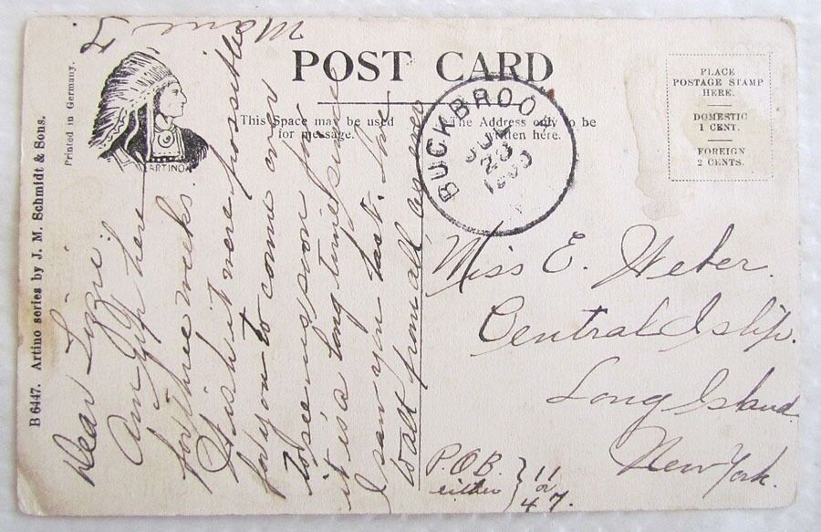 ANTIQUE POSTCARD THE SEAT OF LEARNING NORTH BRANCH N.Y.