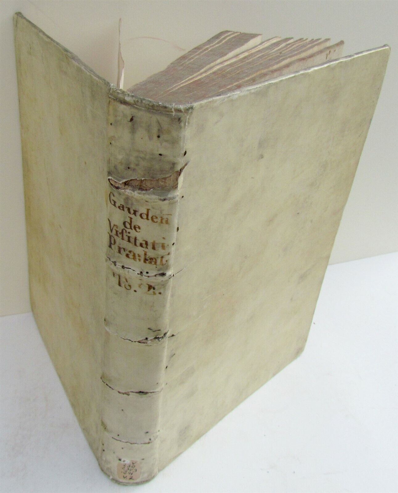 1753 VELLUM BOUND ANTIQUE FOLIO De Visitatione Cujuscumque Praelati Regularis