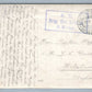 GERMAN RED CROSS OFFICERS w/ DOG ANTIQUE FELDPOST REAL PHOTO POSTCARD RPPC