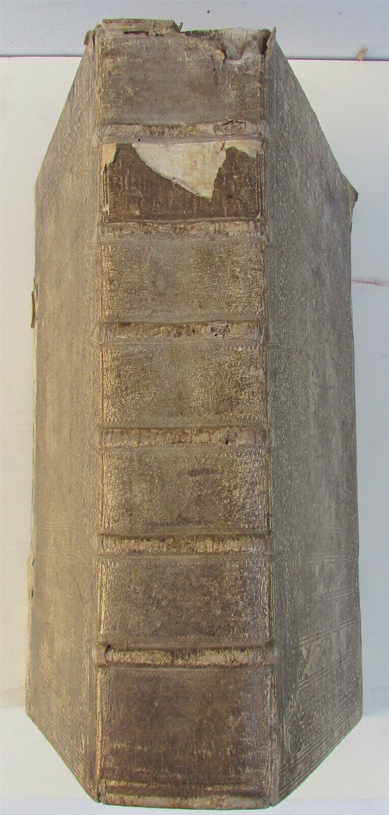 1751 PIGSKIN BINDING BIBLE BIBLIA SACRA FOLIO 9.5 x 15" antique ILLUSTRATED